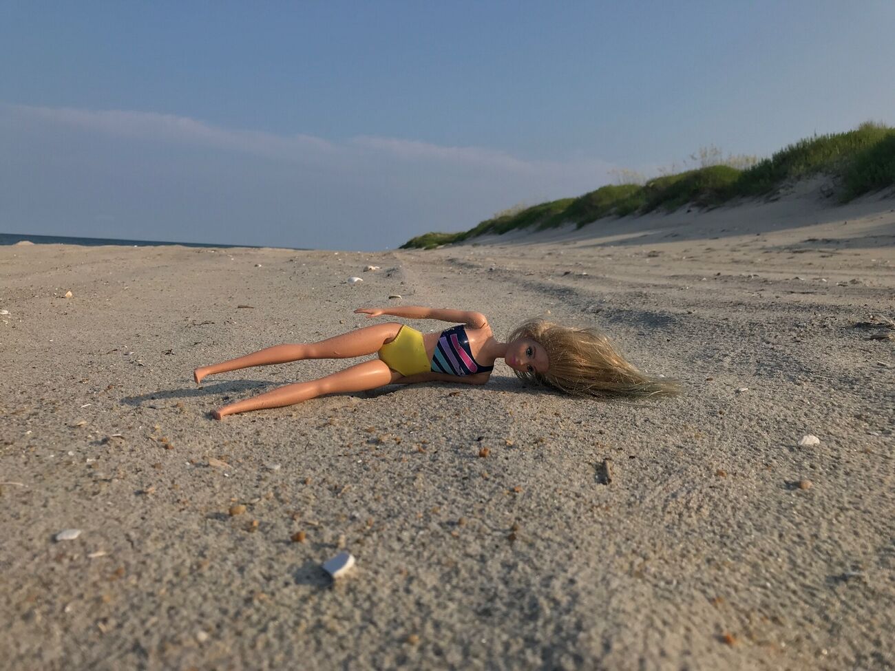 Barbie is plastic. Plastic on the beach is litter.