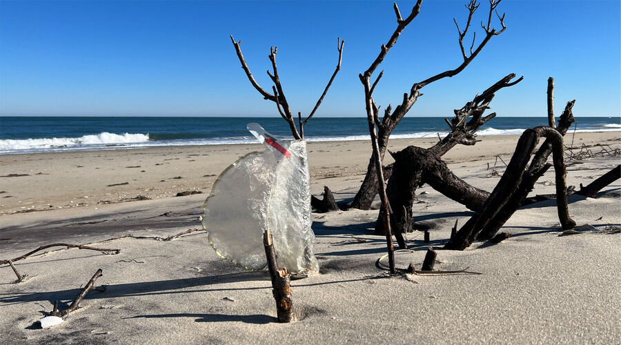 Mylar balloon beach litter.