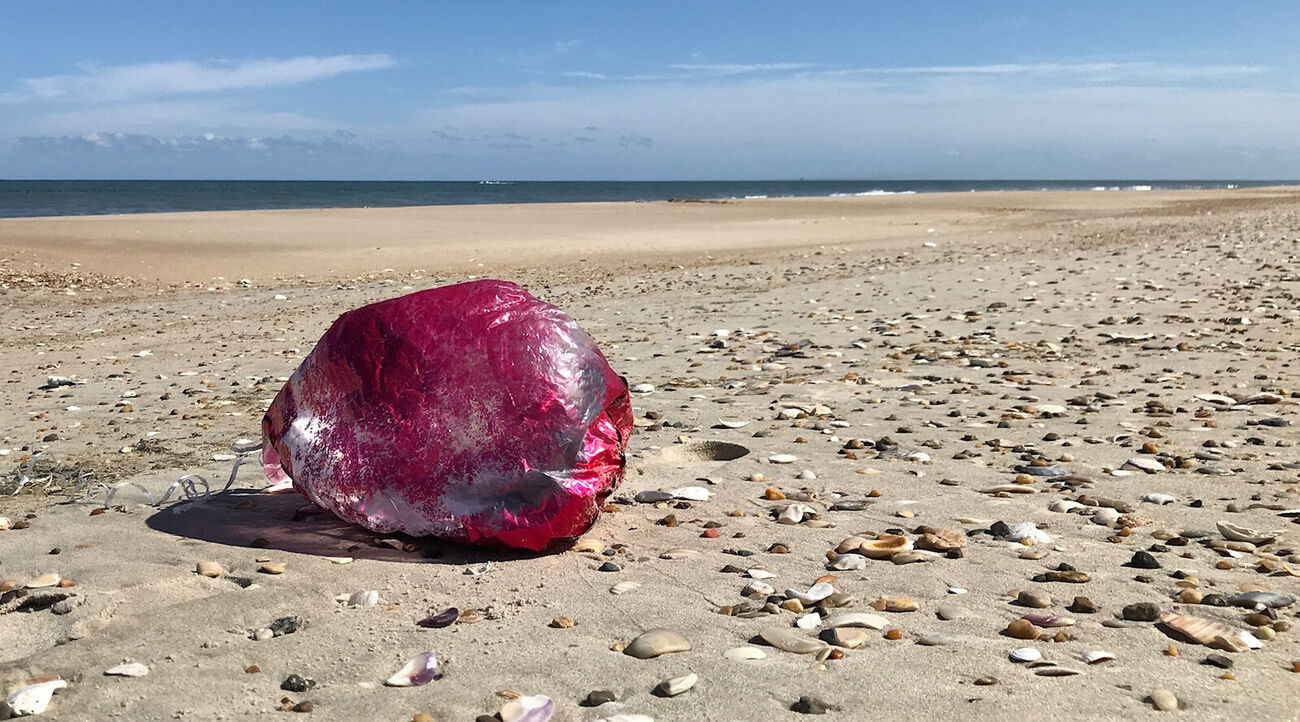 Abandoned mylar balloons are frequent beach litter on Cape Hatteras National Seashore.