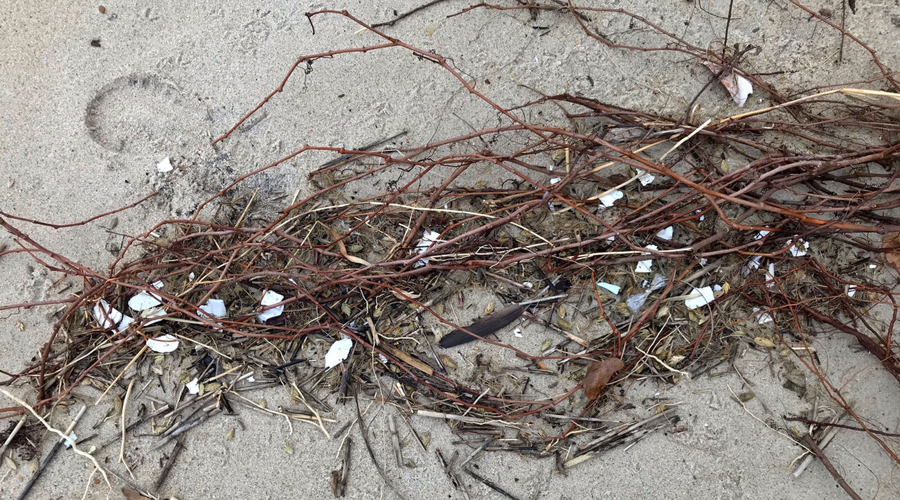 Styrofoam beach litter on Cape Hatteras National Seashore.