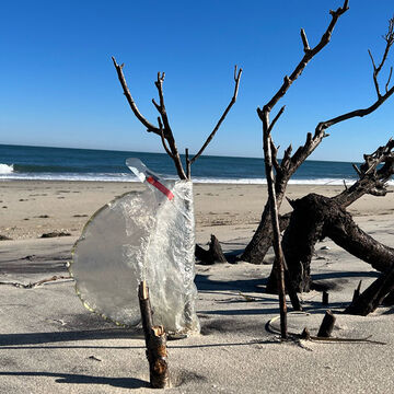 mylar balloons are deadly beach trash