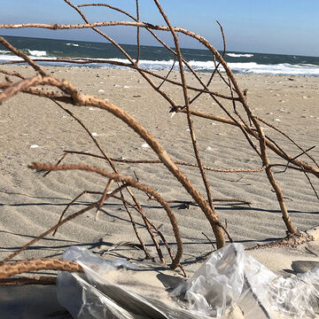 plastic sheeting beach trash
