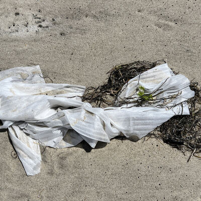 beach trash cleanup pic from Cape Hatteras National Seashore