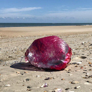mylar balloons are deadly beach trash