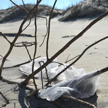plastic tarp beach trash