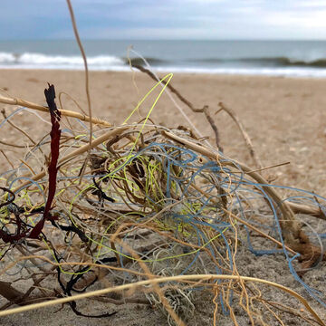 tangled fishing line caught in dune grasses