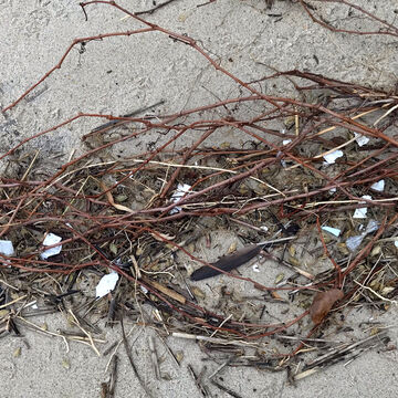 broken pieces of styrofoam littering OBX beach
