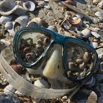 Outer Banks swimmer lost goggles