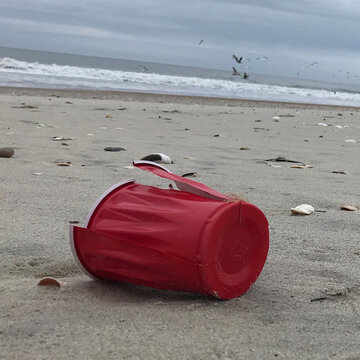 plastic Solo cup left as trash on beach